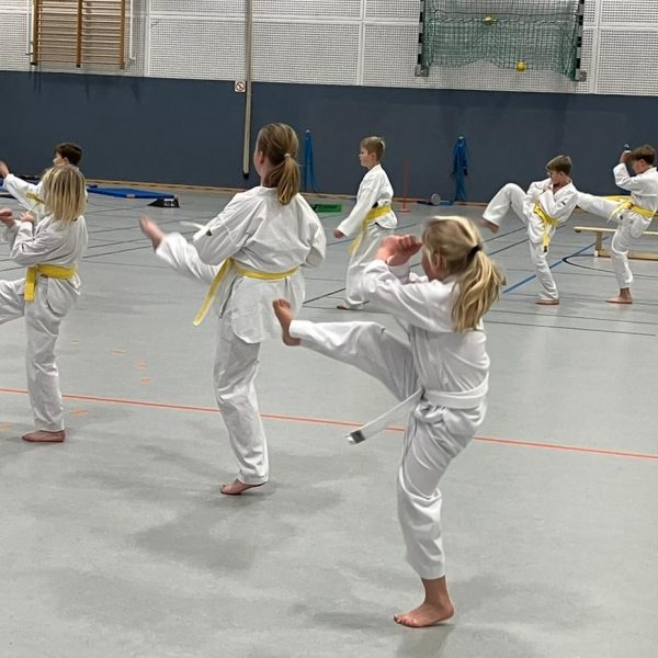 taekwondo.jpeg